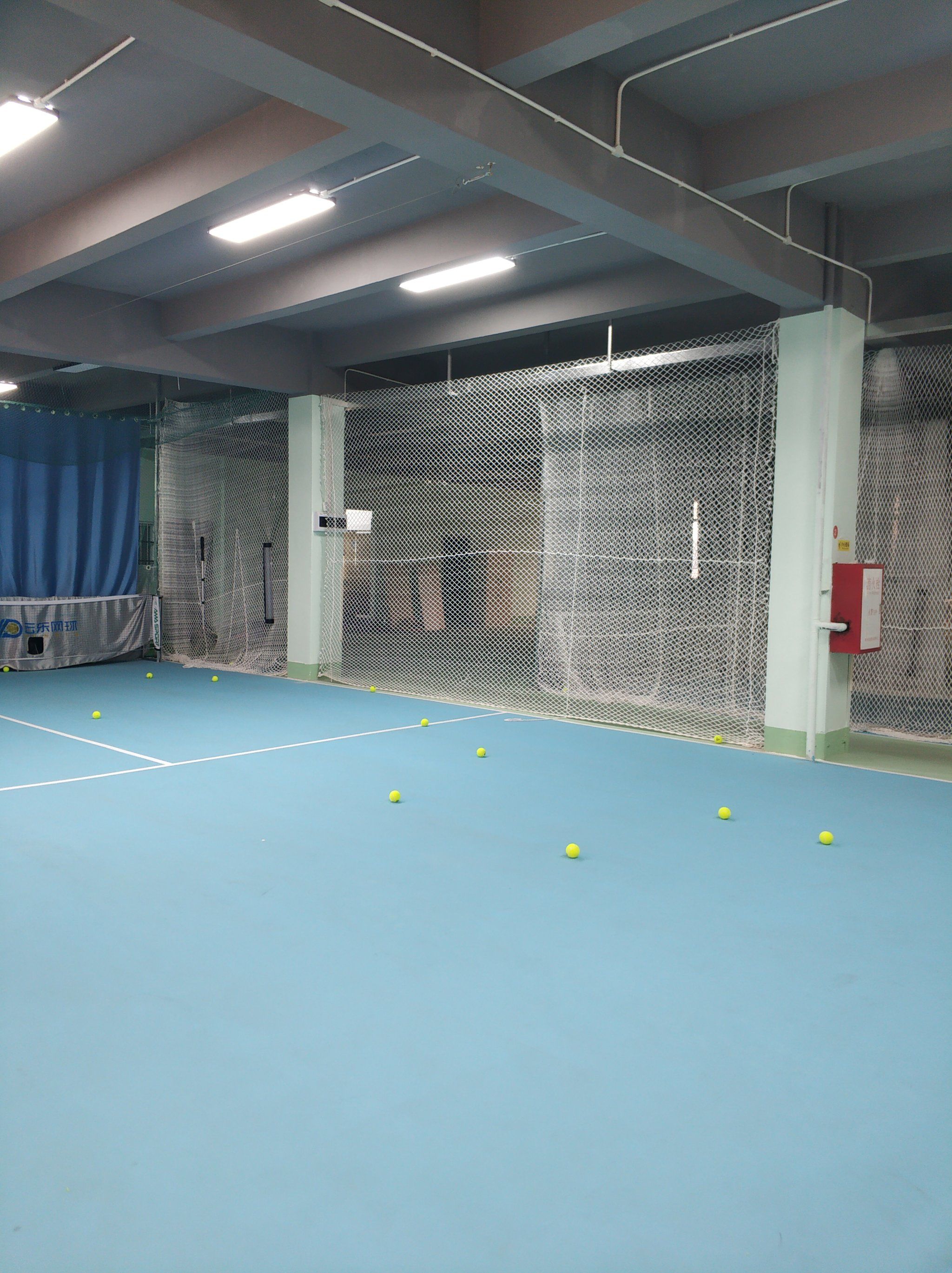 A裁判泰斗 A裁判泰斗